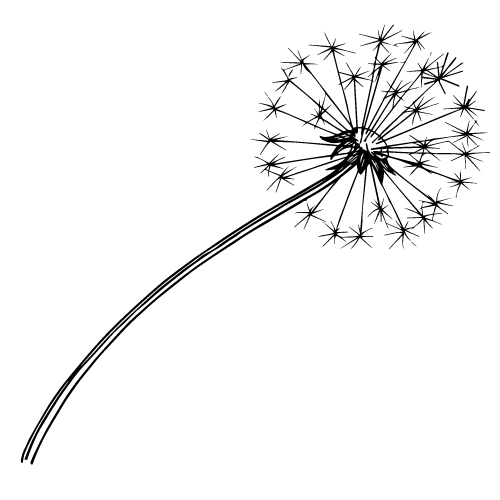 http://Dandelion%20icon