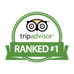 http://TripAdvisor