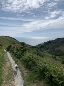 Dog walk in North Devon sea view