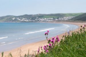 Woolacombe Beach in spring with flowers