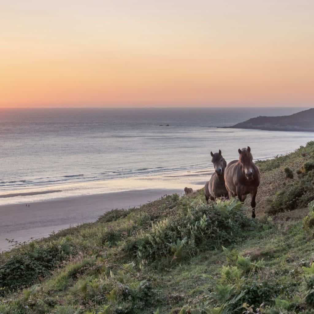 POTTERS HILL, WOOLACOMBE