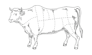 Illustration of beef
