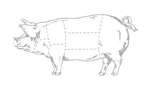 Butcher's pig illustration