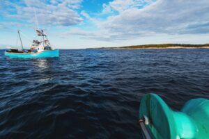 Mackerel fishing boats